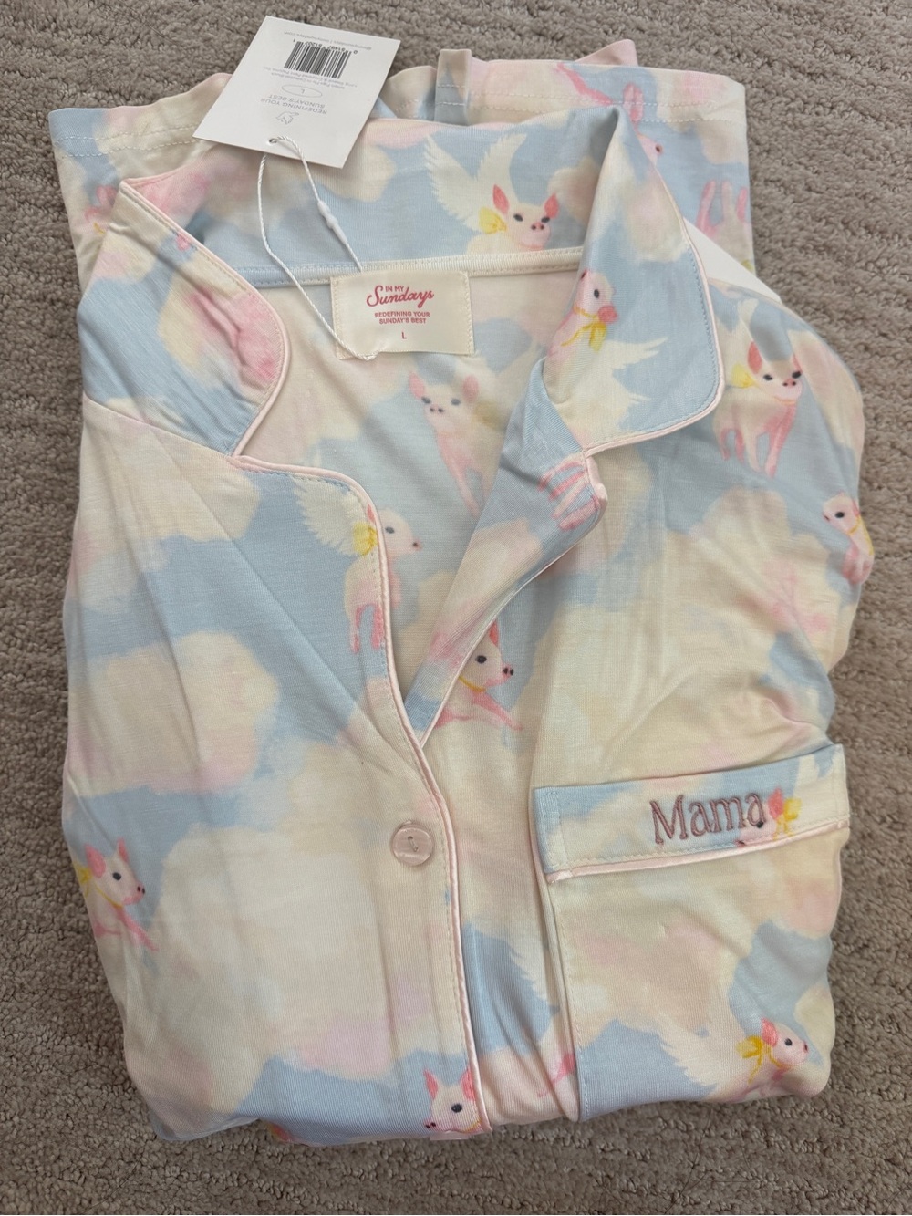 Mama Pastel pigs fly  Pajama Set - Soft Blue & Cream - Picture 2 of 6